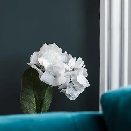 Westbourne Villas Suite 2